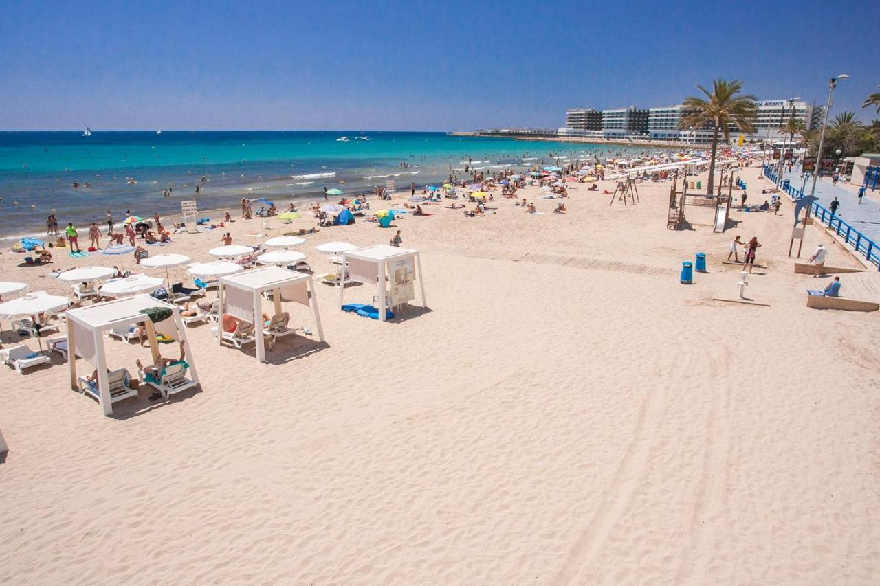 Large Apartment With Large And Sunny Terrace - Garden & Outdoor Gym , Alicante Center Экстерьер фото