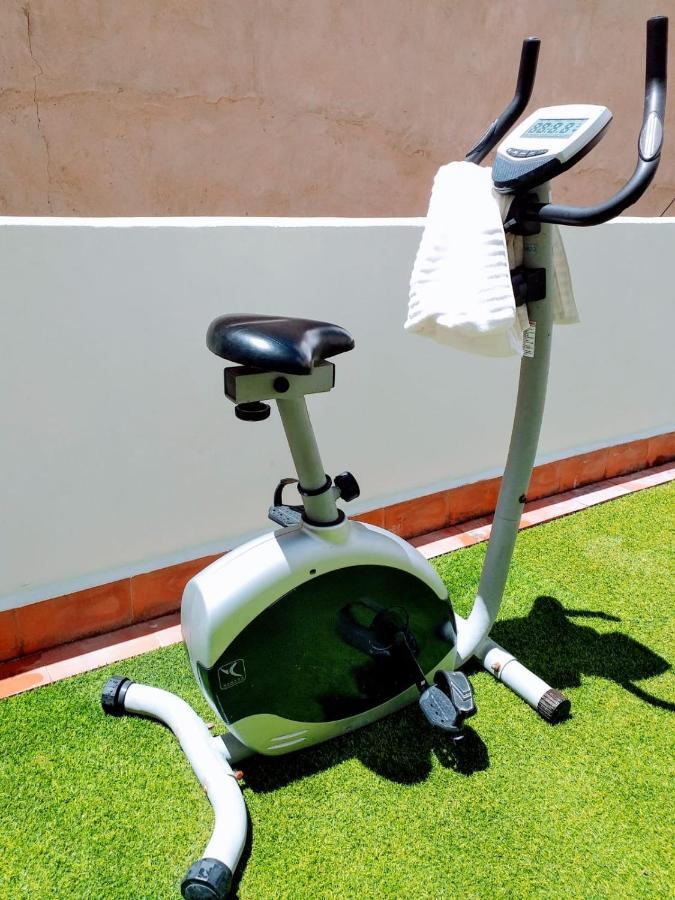 Large Apartment With Large And Sunny Terrace - Garden & Outdoor Gym , Alicante Center Экстерьер фото